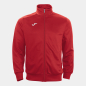 Preview: SV Bischbrunn Präsentationsjacke